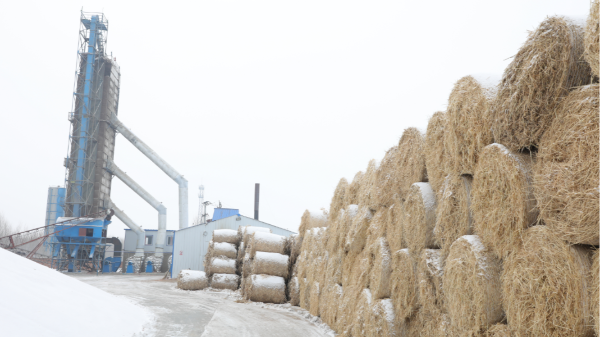 煤炭價格高，烘糧利潤低，吉林大安市500噸糧食烘干塔改用秸稈大包直燃鍋爐，每天省3萬